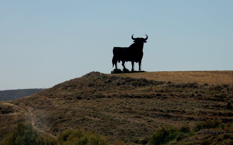 The Spanish bull