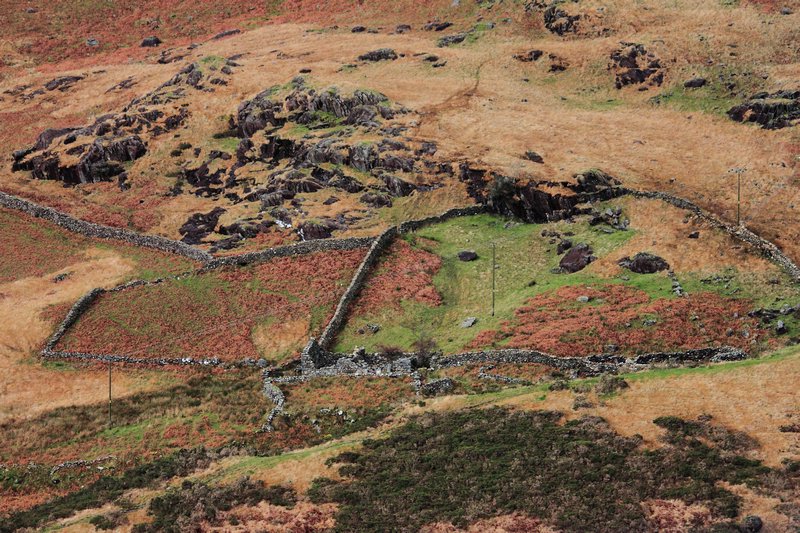 Stone-walled fields, Snowdonia