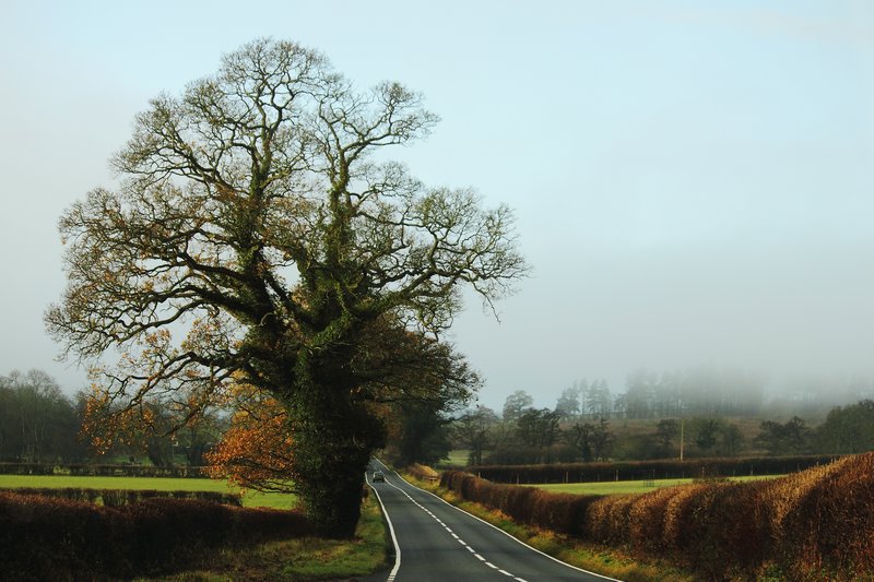 Welsh road 3
