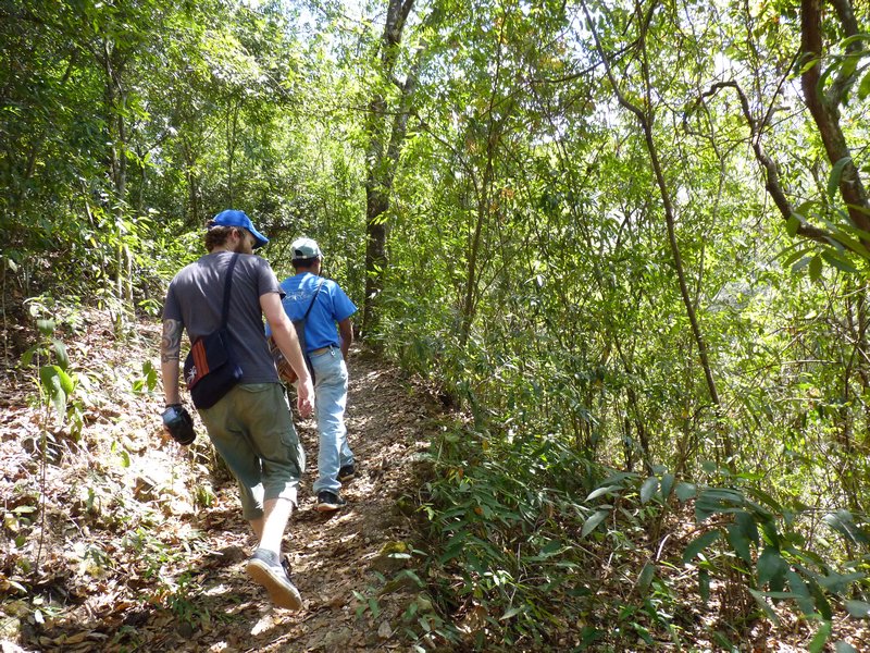 Rio Sapo Trail 2