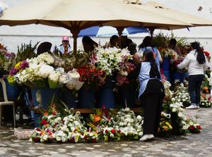 Flower market, Cuenca