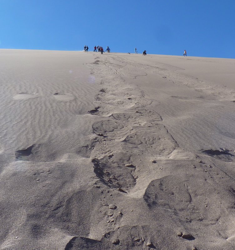 Dune Descent
