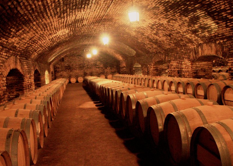 Newer barrels of wine
