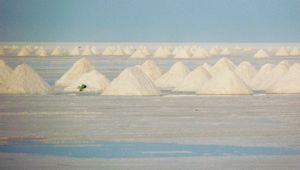 Hillocks of salt