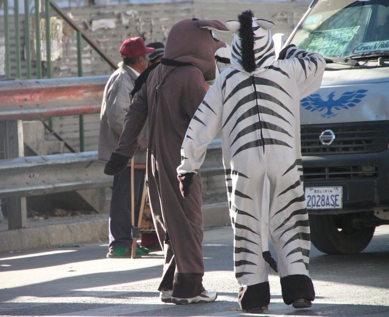 Zebra with a friend