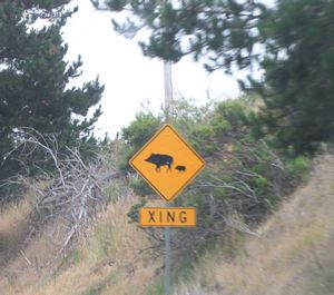 Road warning Big Sur