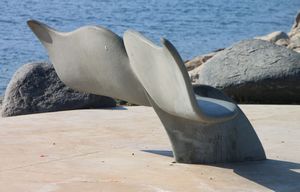 Another whale tail