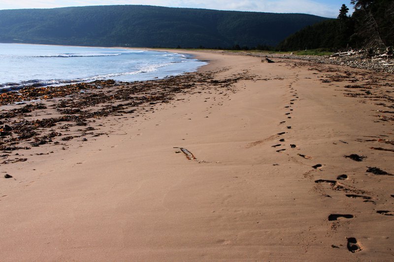 Nova Scotia beach