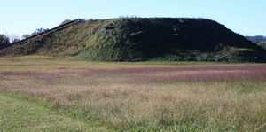 mound at etowah