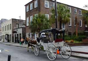 Tourist transport Charleston