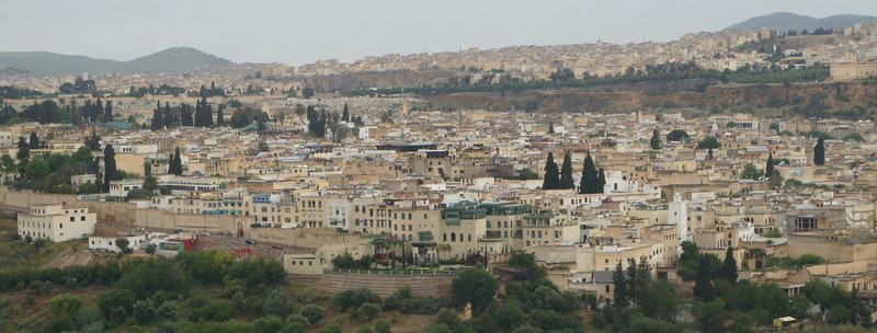 Fes with medina in foreground