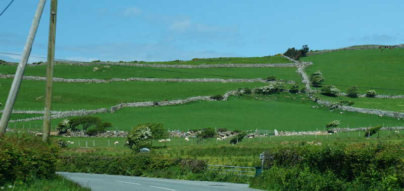 Green fields rock walls