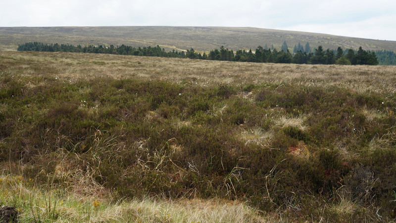 Slieve Bloom Mountain Nature Reserve