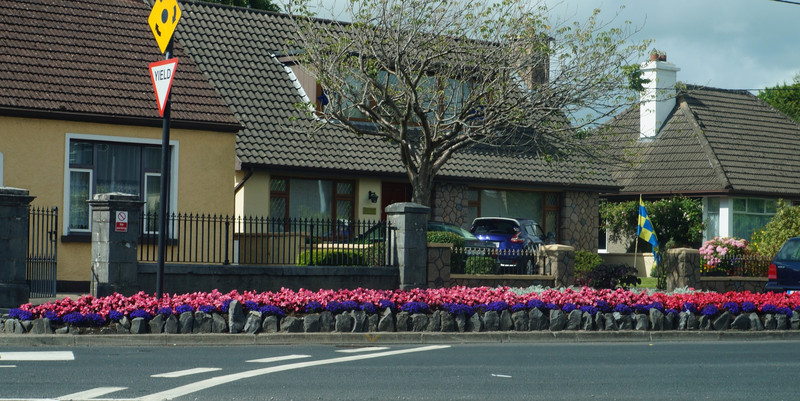 Floral art on the roundabout