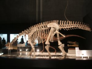 Dinorsaur Exhibit 2
