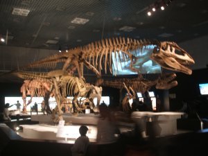 Dinorsaur Exhibit 3