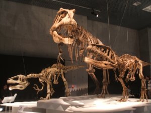 Dinorsaur Exhibit 4