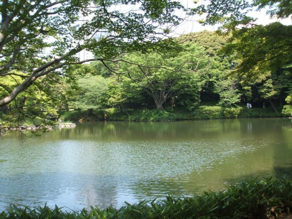 Koishikawa Korakuen Gardens 5