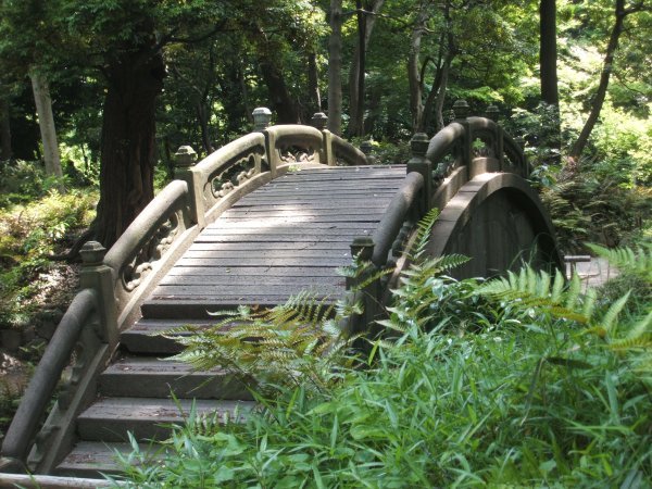 Koishikawa Korakuen Gardens 19