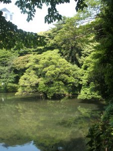 Koishikawa Korakuen Gardens 6