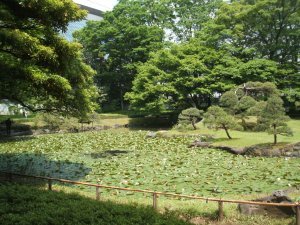 Koishikawa Korakuen Gardens 9
