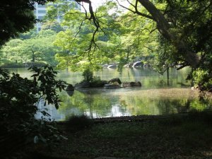Koishikawa Korakuen Gardens 10
