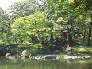 Koishikawa Korakuen Gardens 12