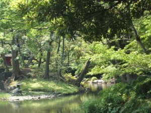 Koishikawa Korakuen Gardens 13
