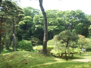 Koishikawa Korakuen Gardens 16