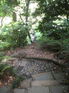 Koishikawa Korakuen Gardens 17