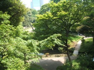 Koishikawa Korakuen Gardens 18