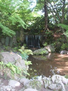 Koishikawa Korakuen Gardens 25