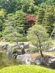 Seiryu-en Garden 5