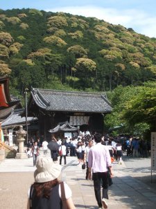 Kiyomizu-dera Temple 5