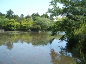 Kyoyochi Pond 2