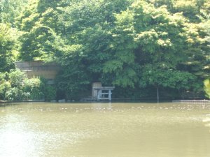 Kyoyochi Pond 3