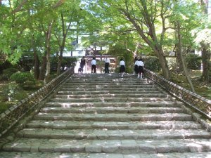 Stairs To The Rock Garden