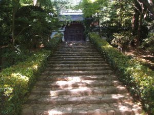 Stairs To The Rock Garden 2