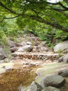 Momijidani Park 9