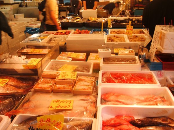 Tsukiji Fish Markets 5