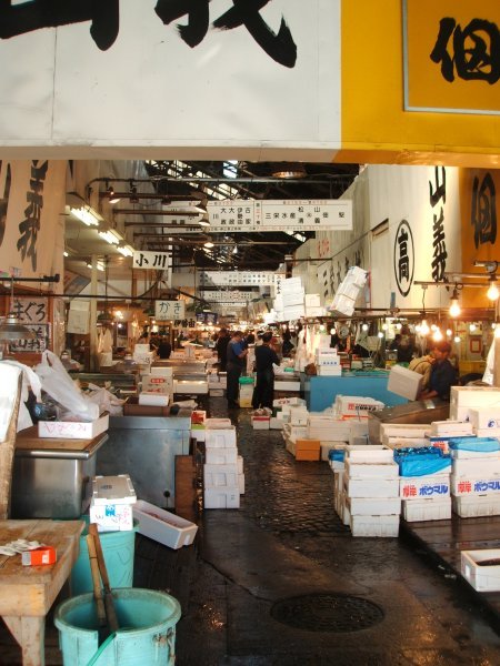 Tsukiji Fish Markets 9
