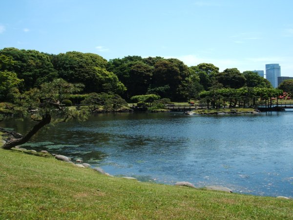 Hama-rikyu Gardens 2