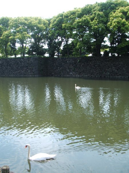 Imperial Gardens 6