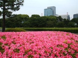 East Imperial Gardens 4