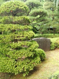 East Imperial Gardens 10