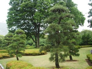 East Imperial Gardens 11