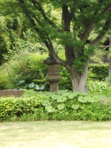 East Imperial Gardens 12