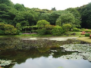 East Imperial Gardens 14