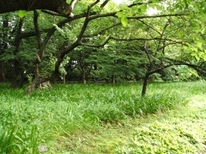 East Imperial Gardens 19