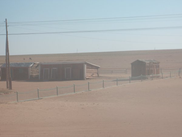 Gobi Desert 3